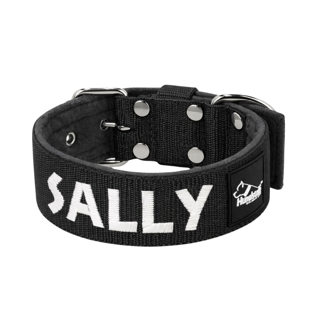 Collier personnalisé pour chien