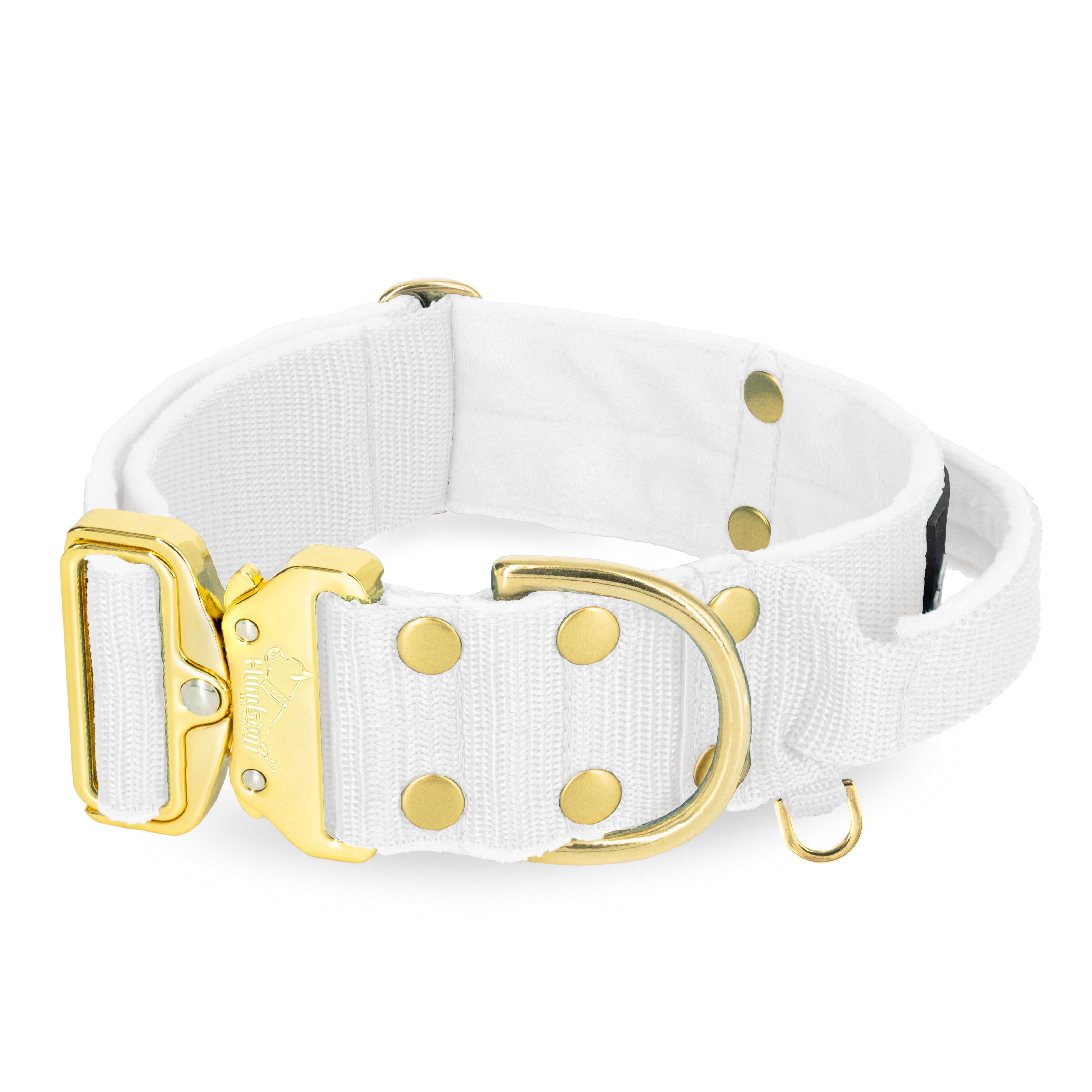 Extreme Gold Buckle White - Collier solide et sécurisé