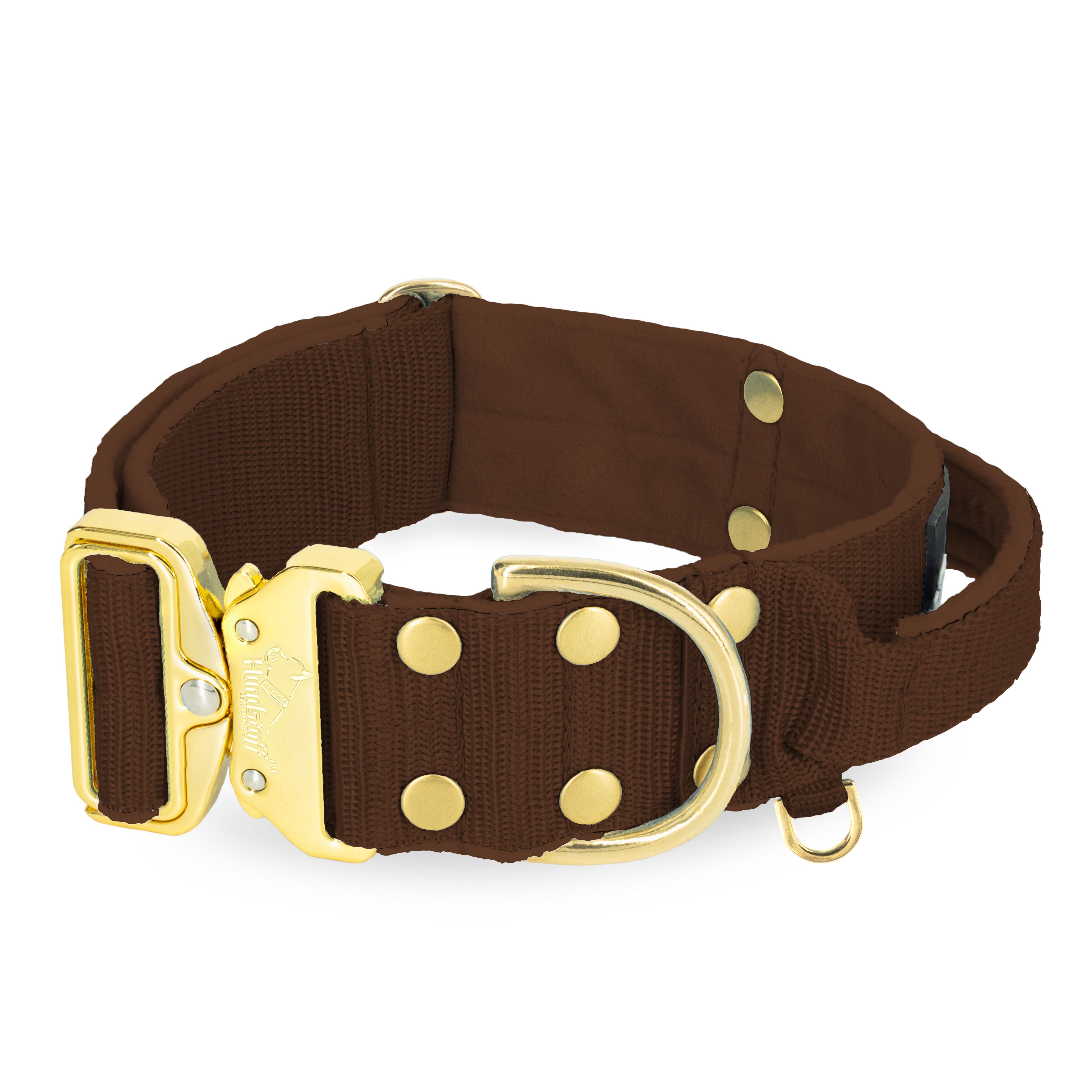 Extreme Gold Buckle Dark Brown - Collier solide et sécurisé