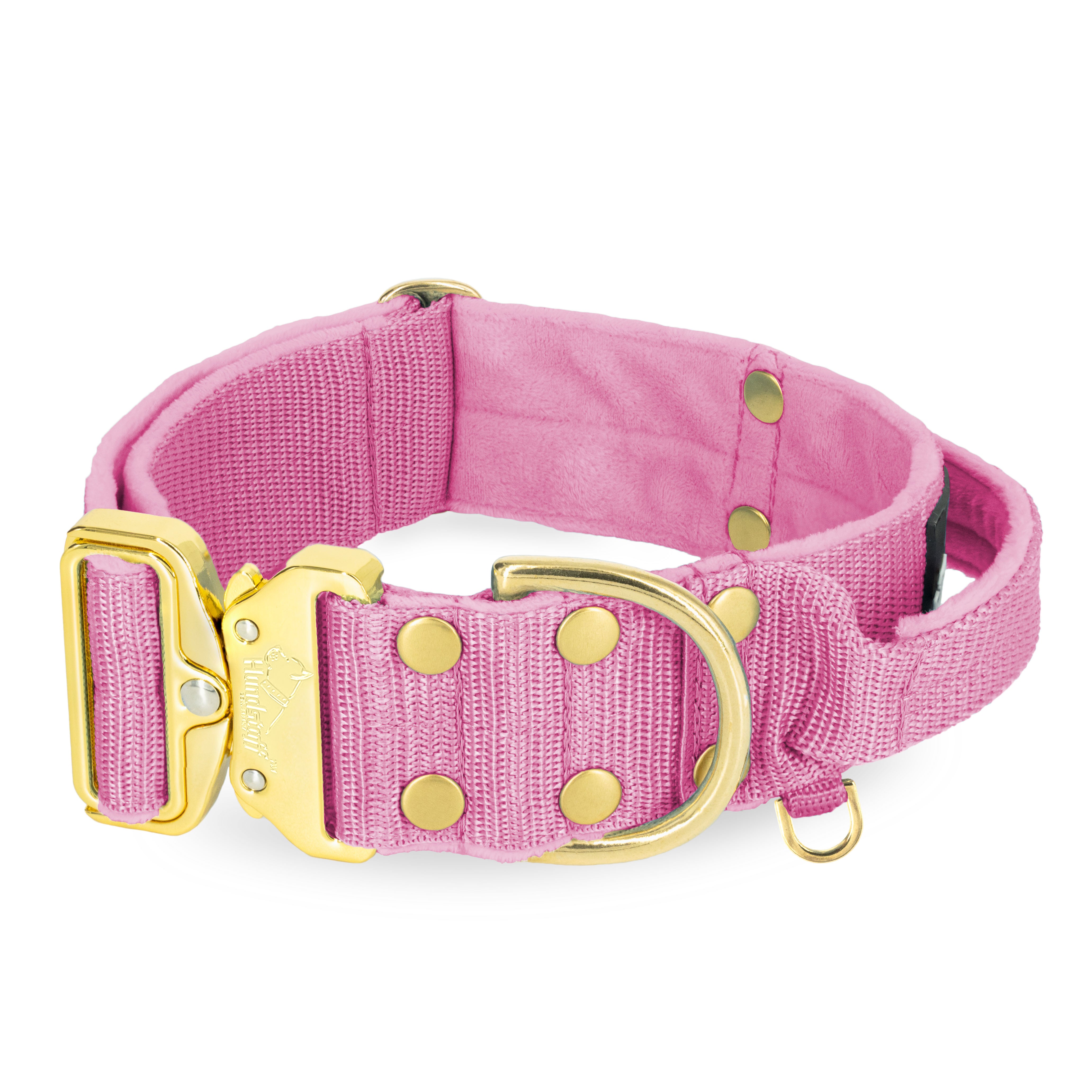 Extreme Gold Buckle Candy Pink - Collier solide et sécurisé