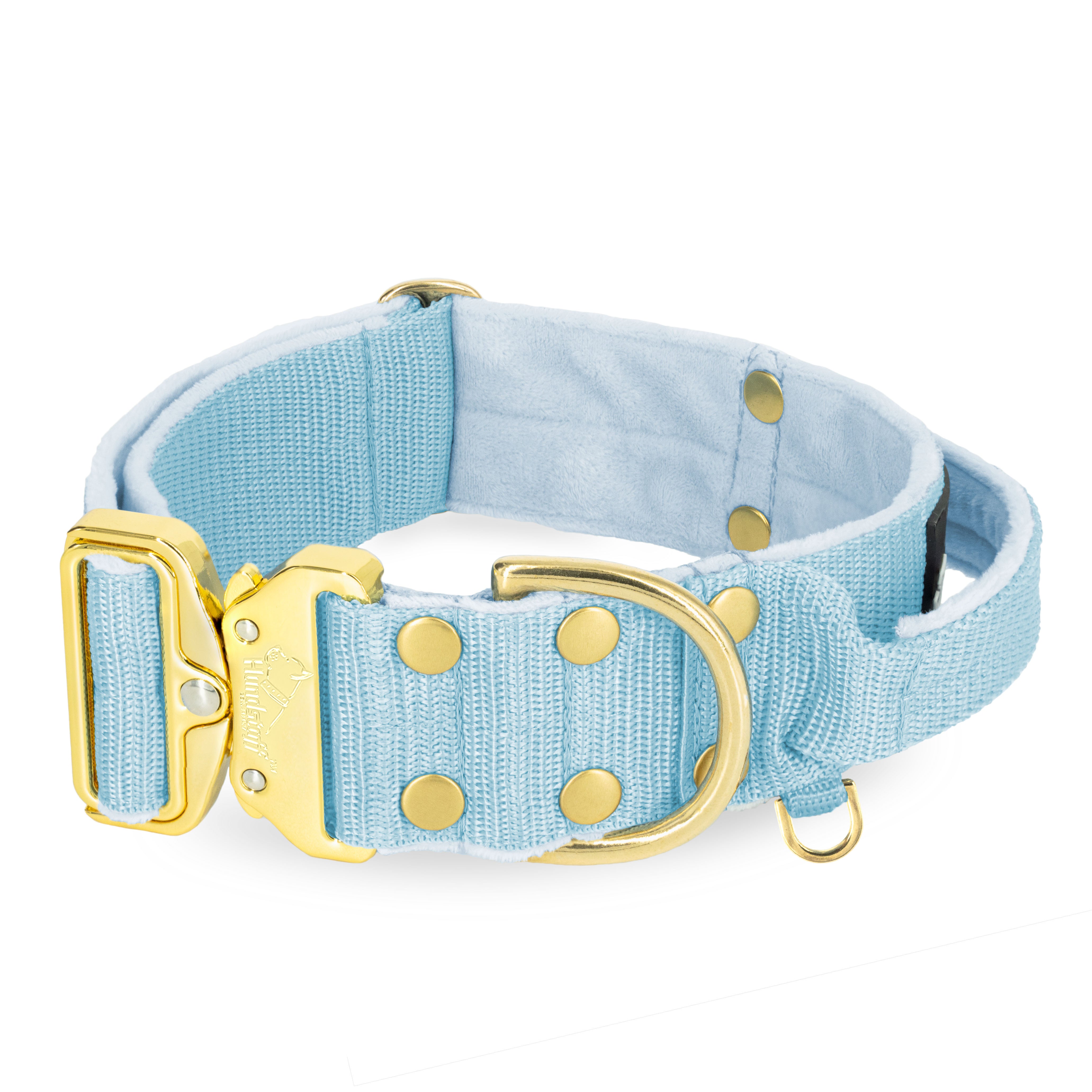 Extreme Gold Buckle Baby Blue - Collier solide et sécurisé