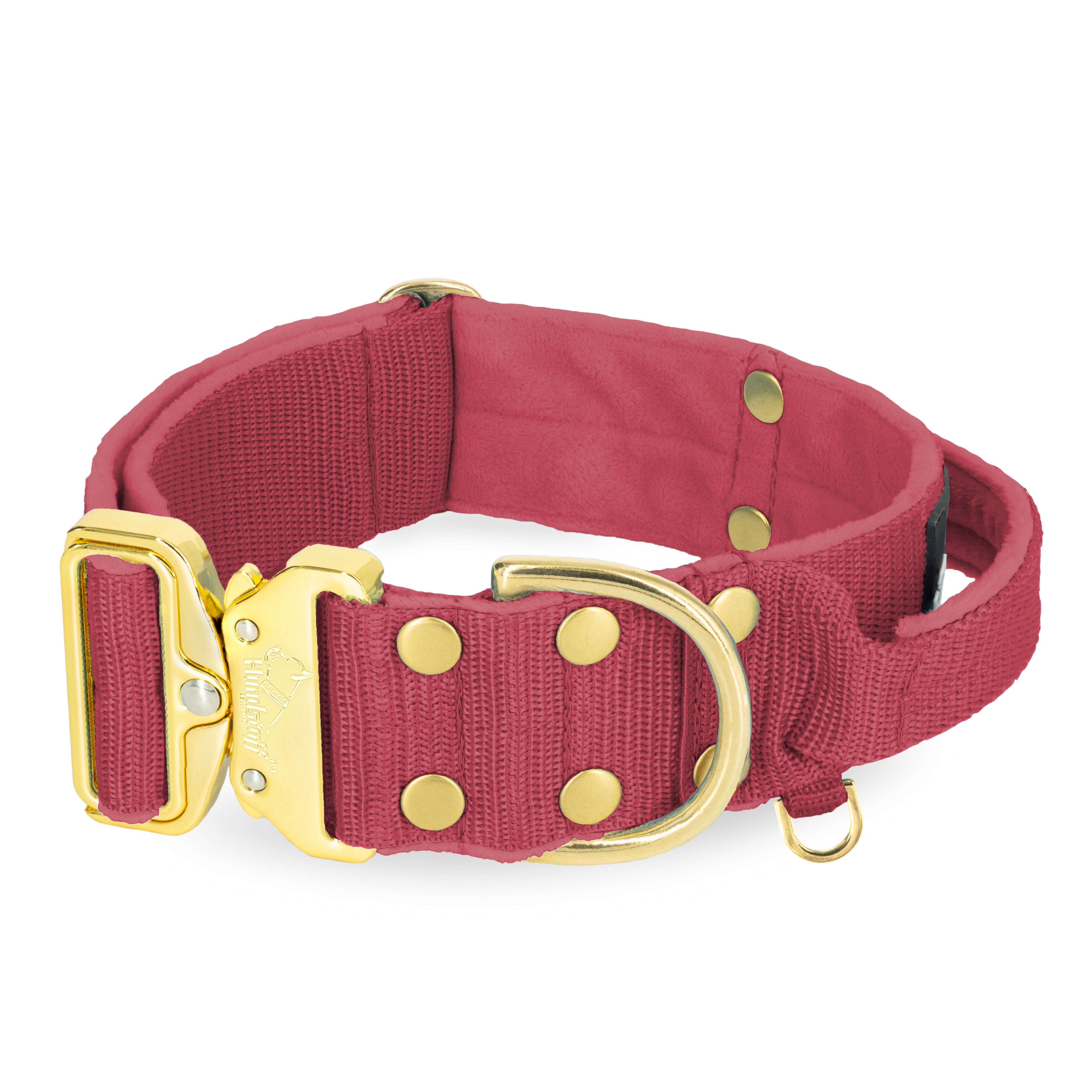 Extreme Gold Buckle Raspberry Red - Collier solide et sécurisé