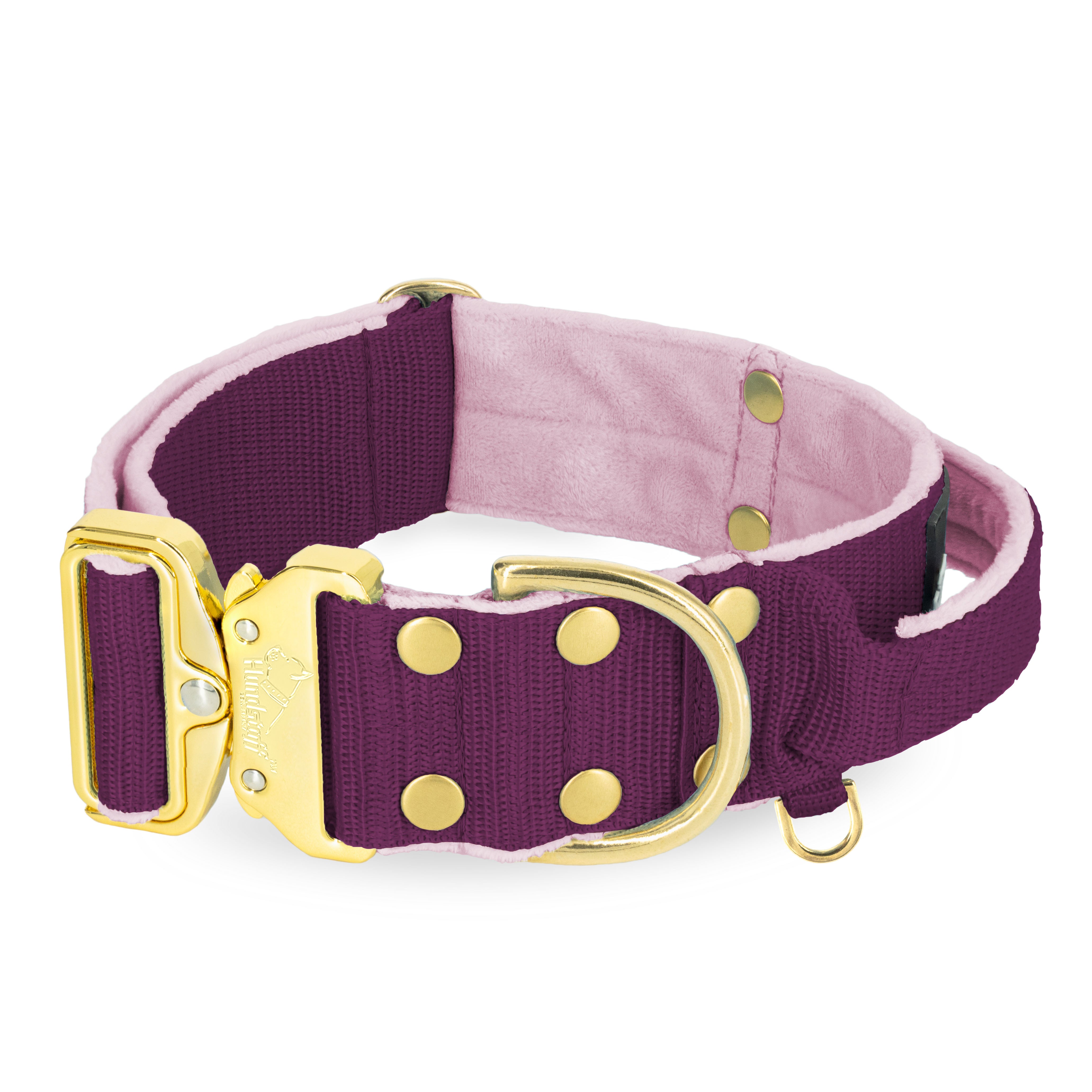 Extreme Gold Buckle Plum - Collier solide et sécurisé