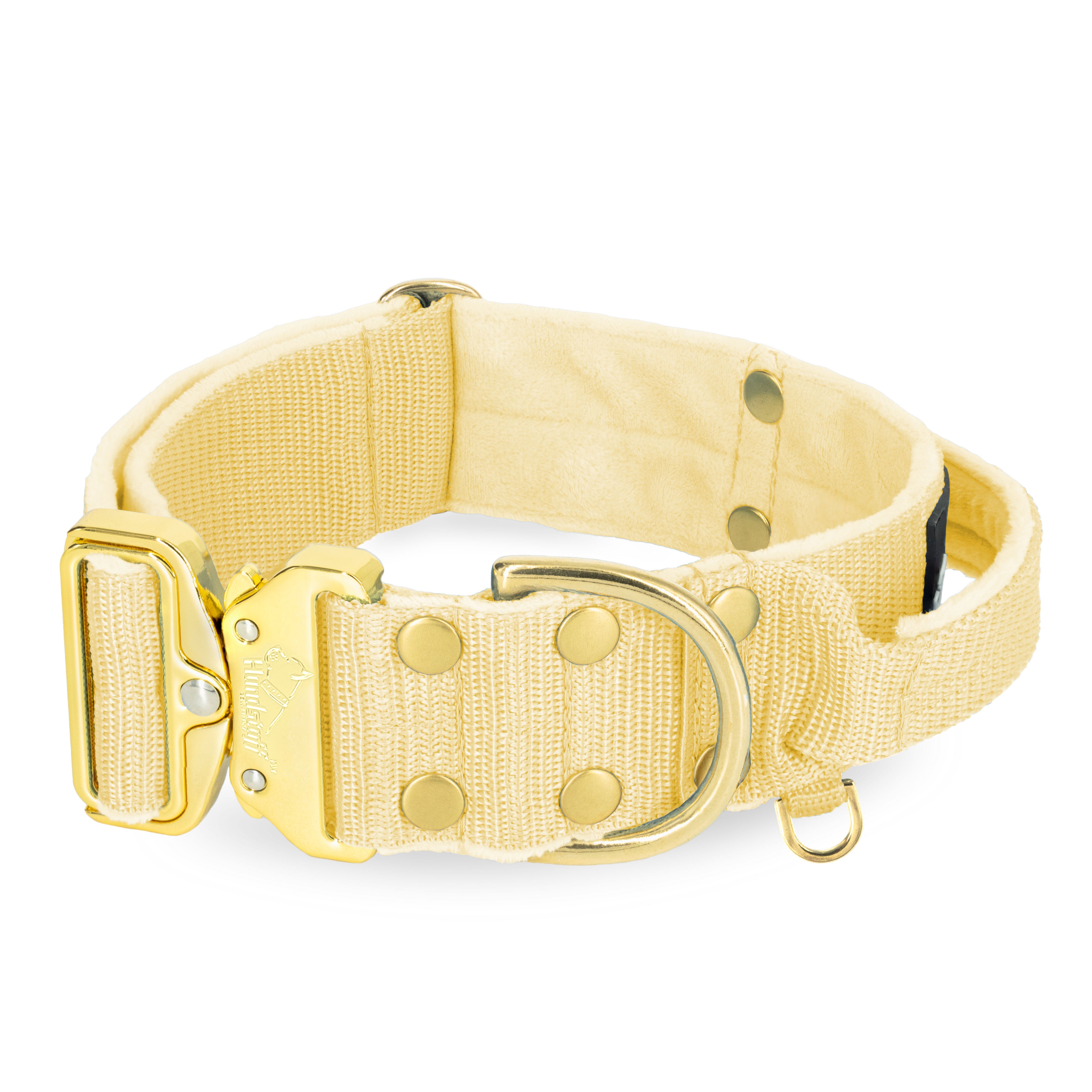 Extreme Gold Buckle Gold Yellow - Collier solide et sécurisé