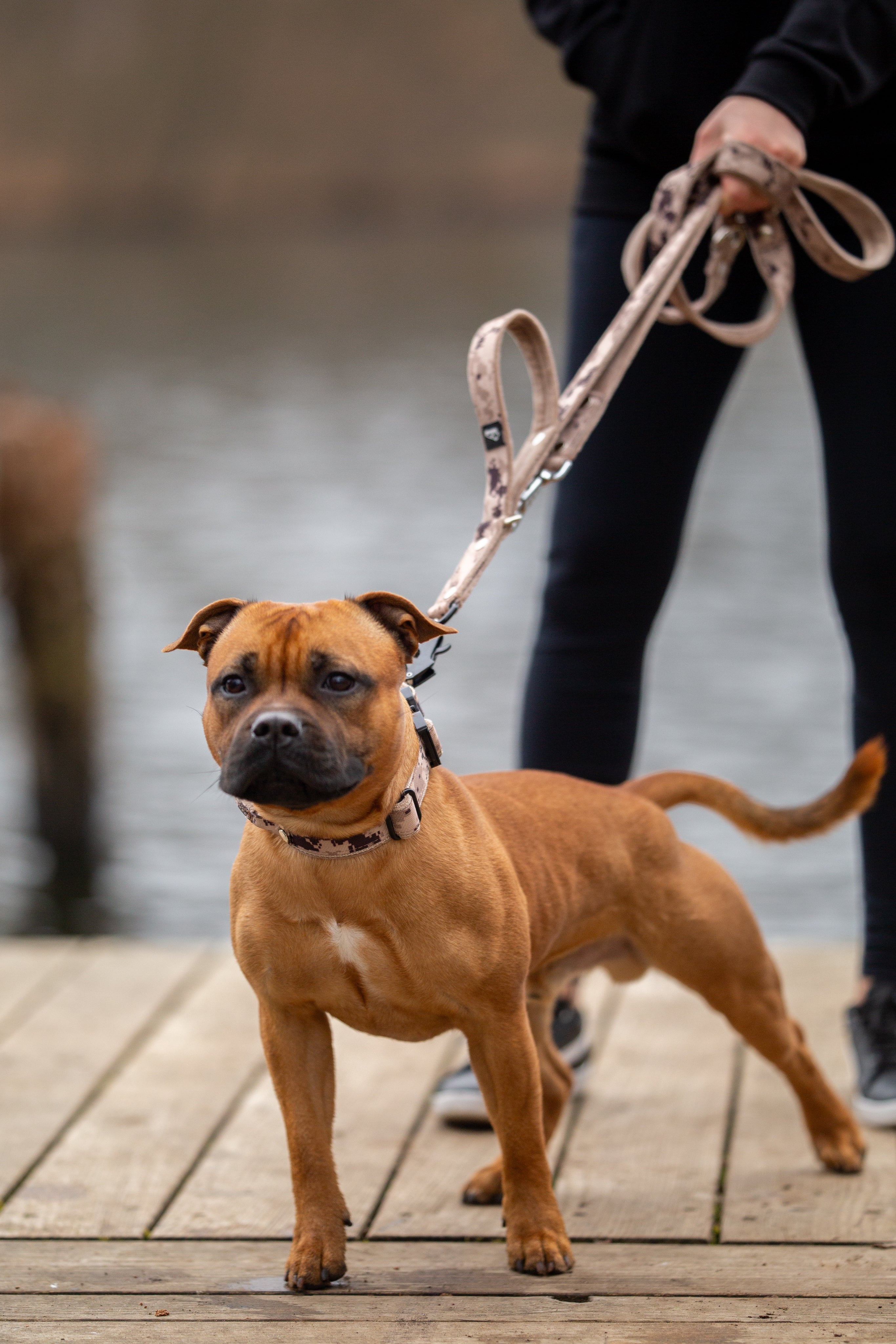 Laisse Multi Guard Camo Beige - Multi Guard Leash