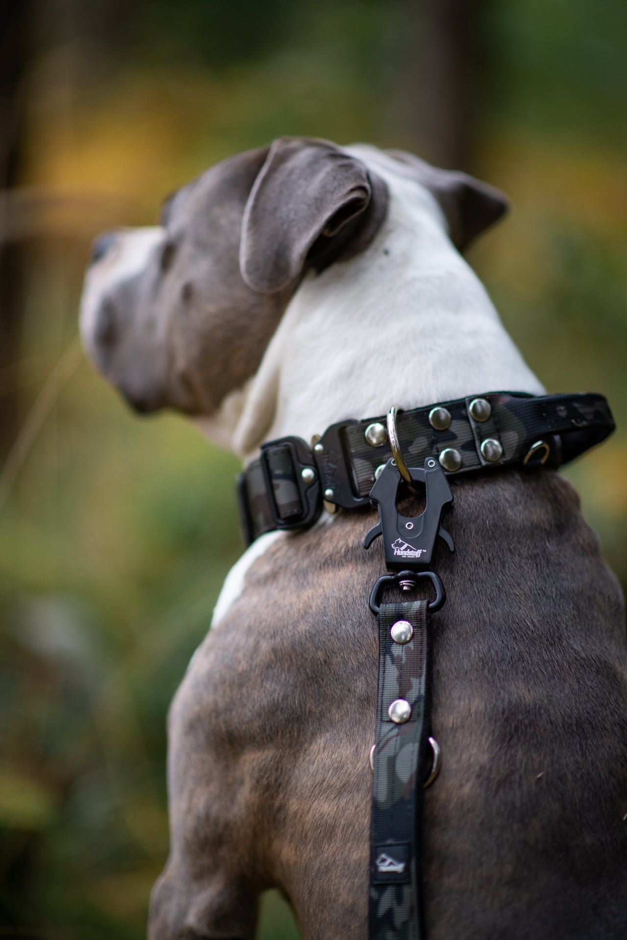 Easy Walk Extreme Camo Black - Harnais avec boucle à dégagement rapide