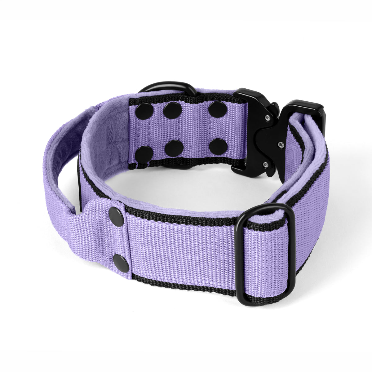 Extreme Buckle Black Edition Baby Purple