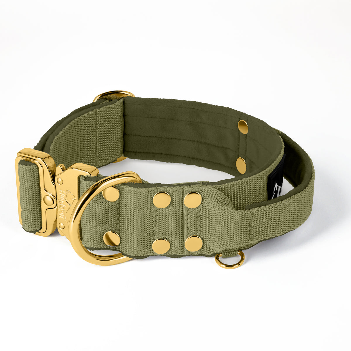 SALE Extreme Buckle Gold Edition Olive Green, Taille XXL, Largeur 5 cm, Avec poignée