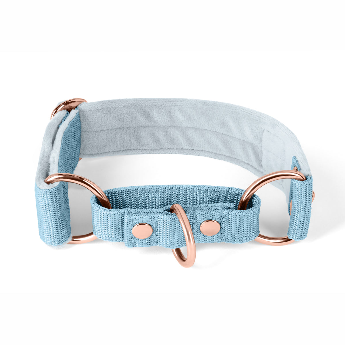 Martingale Rose Edition Baby Blue
