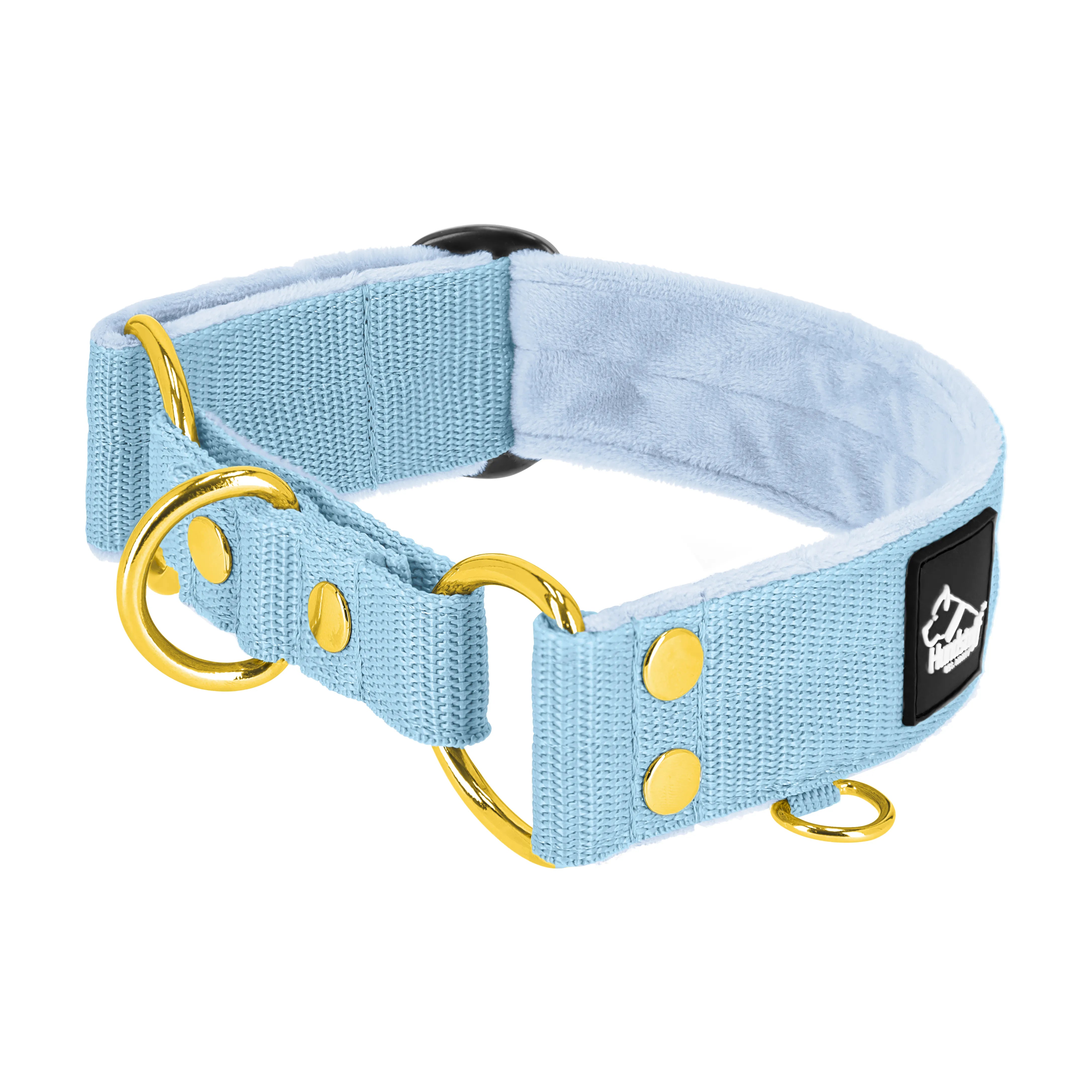 Martingale Golden Baby Blue - Col doublé replié demi repassage
