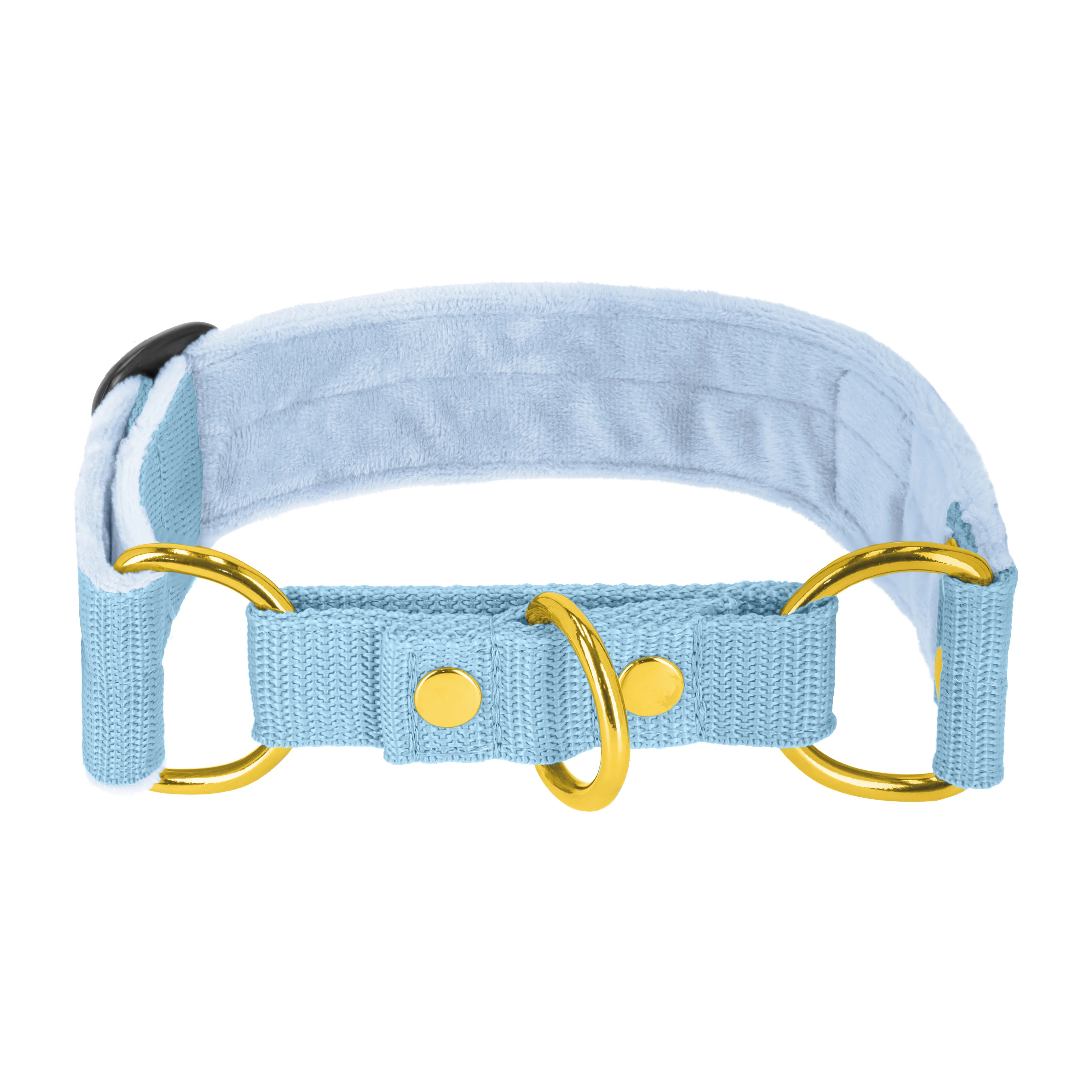 Martingale Golden Baby Blue - Col doublé replié demi repassage