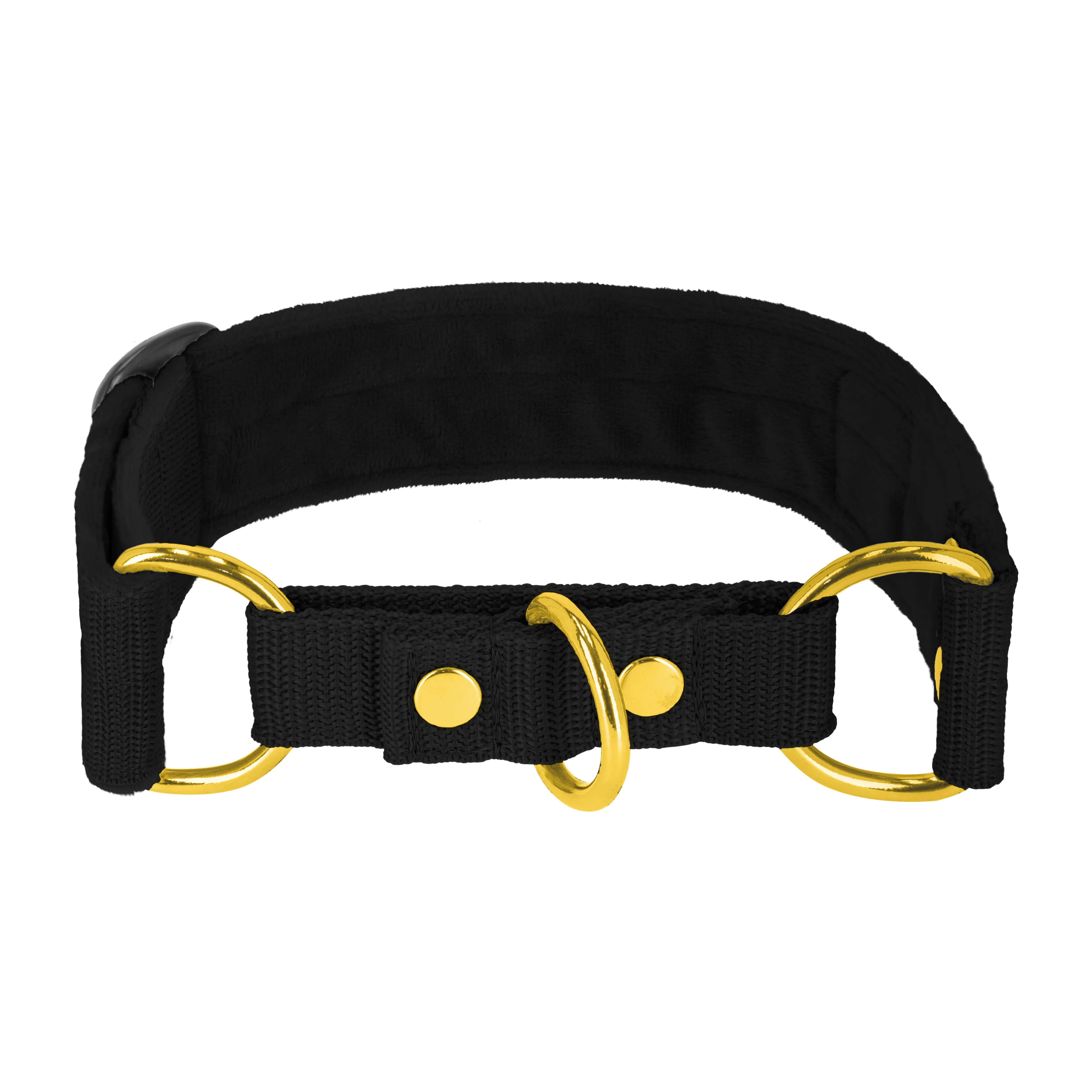 Martingale Golden Black - Collier doublé large et demi thermocollant