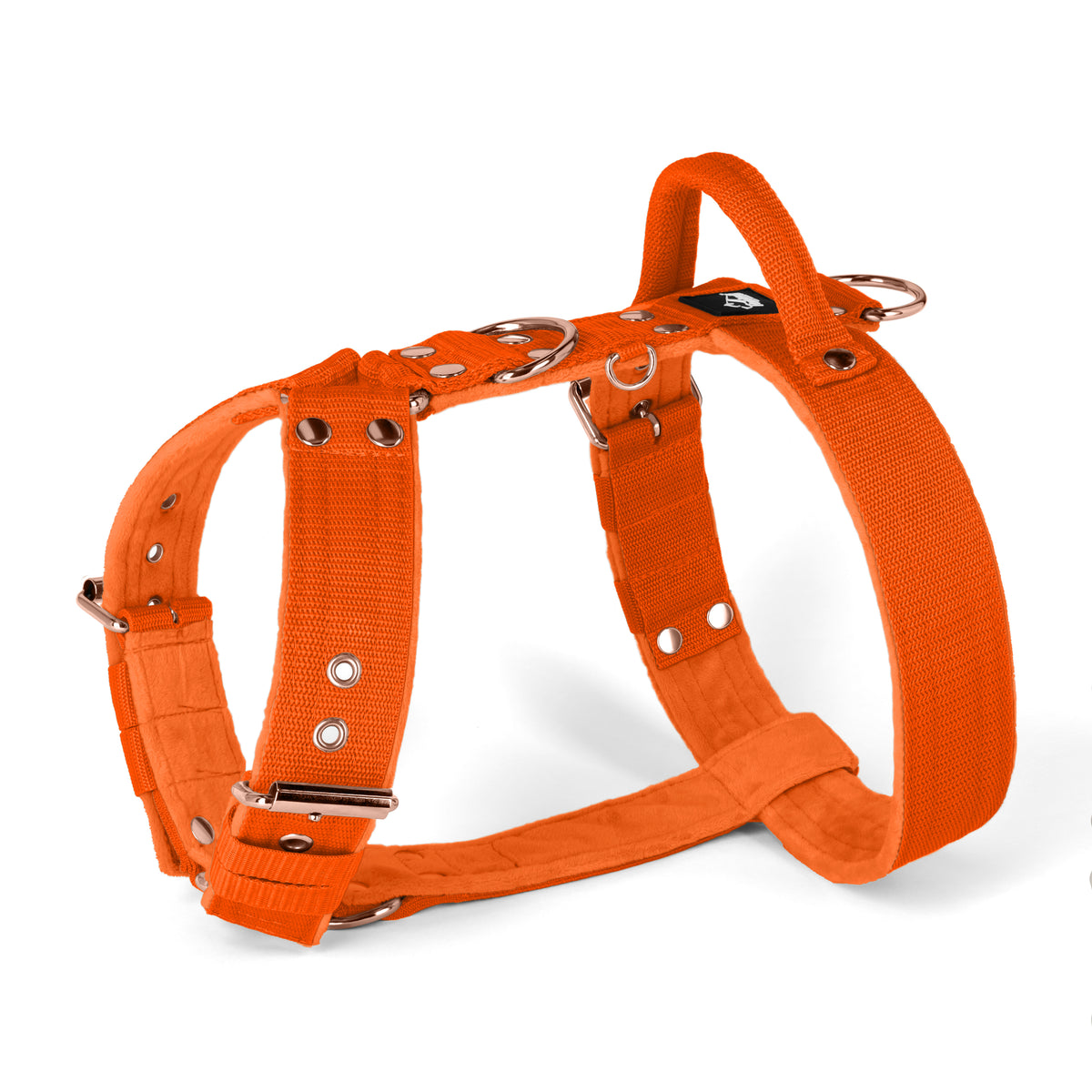 Easy Walk Rose Edition Orange