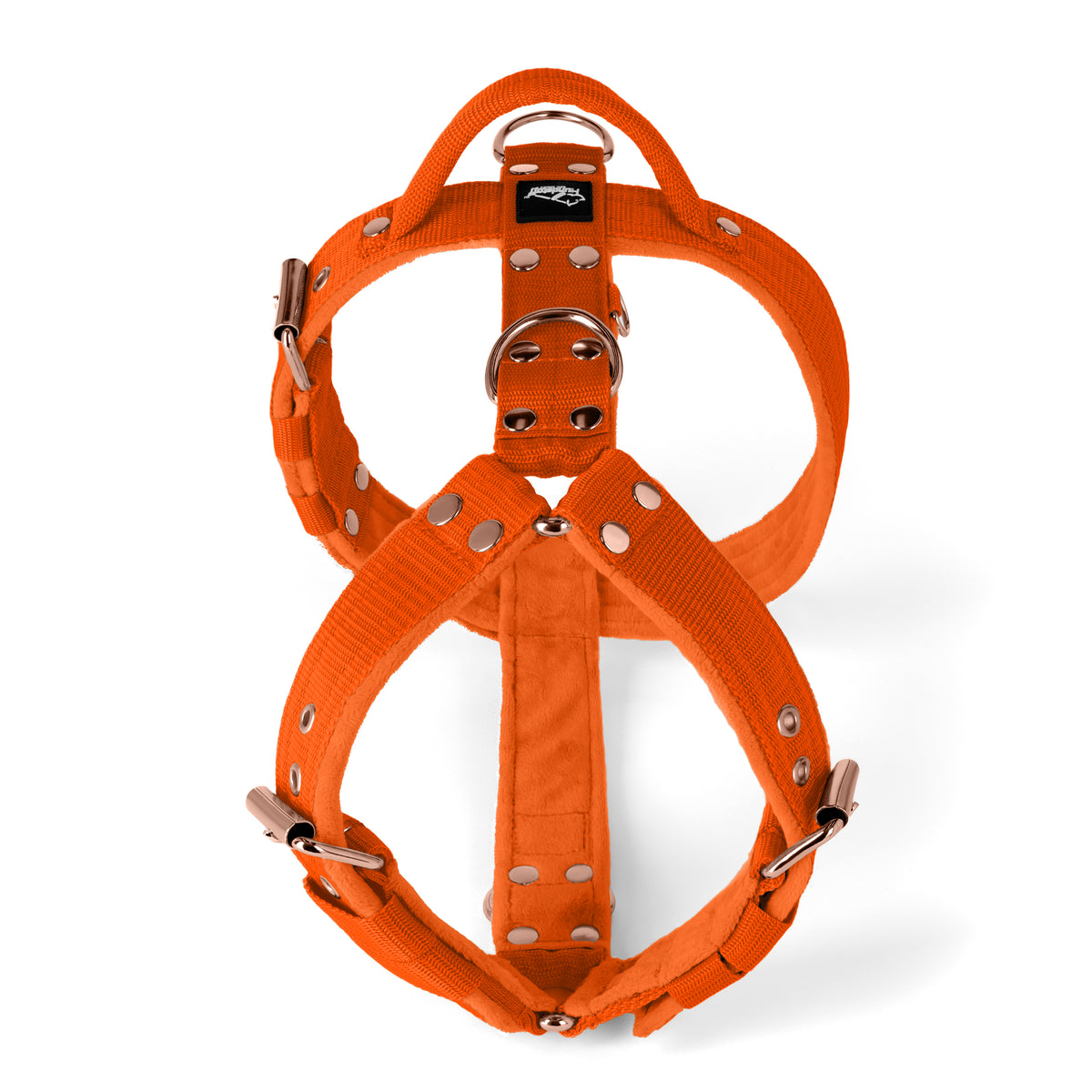 Easy Walk Rose Edition Orange