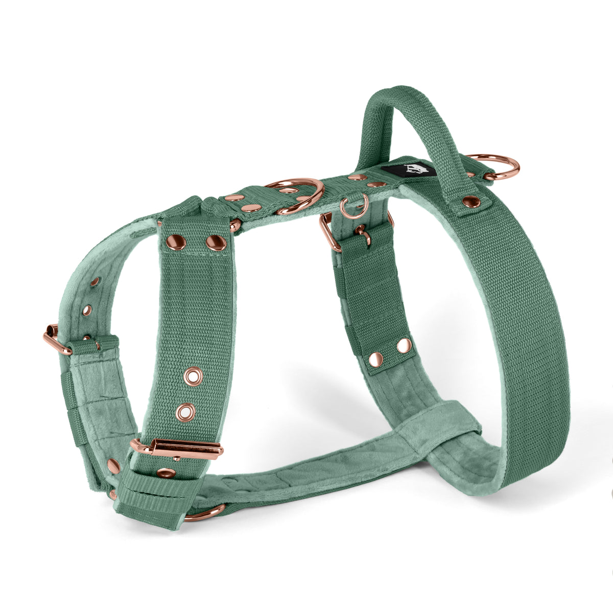 SALE Easy Walk Rose Edition Pastel Green, Taille M, Largeur 4 cm, Avec poignée, Boucles Extreme or rose
