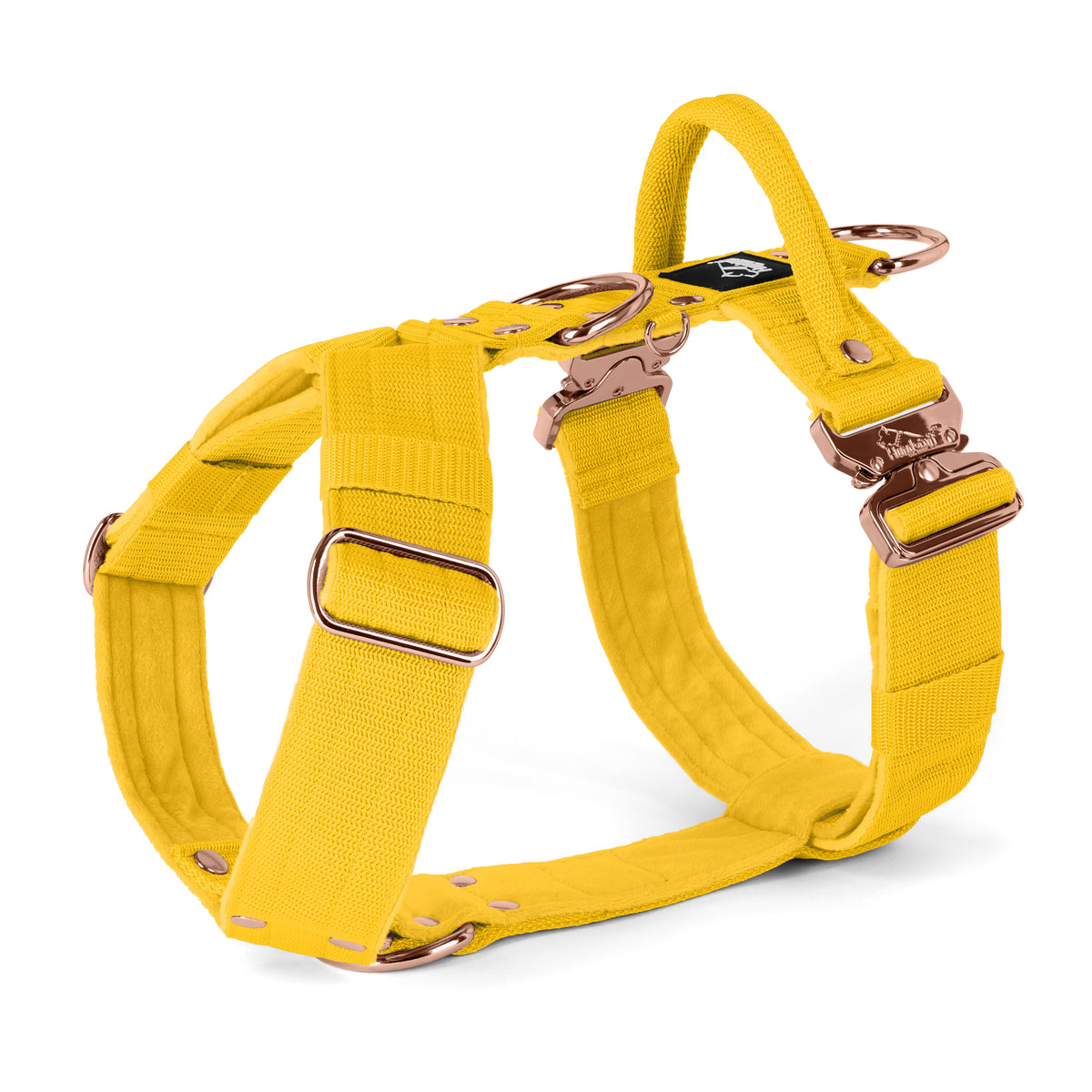 Easy Walk Extreme Rose Edition Yellow