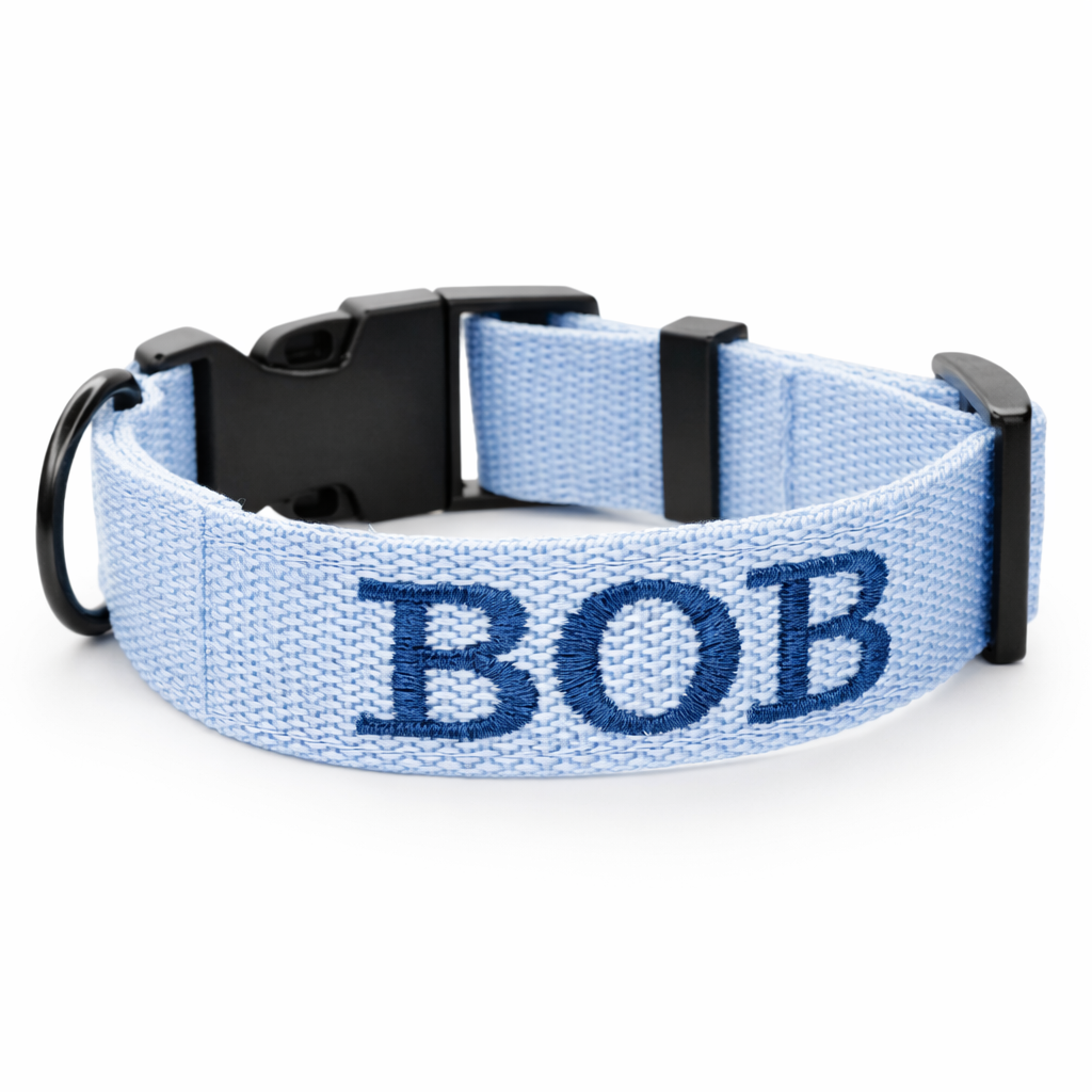 Collier personnalisé avec nom, 2,5 cm de large