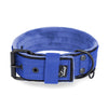 Active Komfort Black Edition Blue - Collier large et durable avec boucle