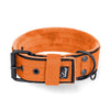 Active Komfort Black Edition Orange - Large collier durable avec boucle