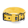 Active Komfort Black Edition Yellow - Collier large et durable avec boucle