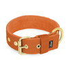 Active Golden Burned Orange - Collier large et durable avec boucle