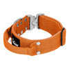Extreme Silver Buckle Orange - Collier solide et sécurisé