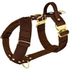 Easy Walk Extreme Gold Buckle Dark Brown - Harnais avec boucle à dégagement rapide