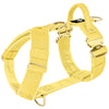 Easy Walk Extreme Gold Buckle Gold Yellow - Harnais avec boucle à dégagement rapide