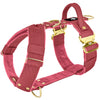 Easy Walk Extreme Gold Buckle Raspberry Red - Harnais avec boucle à dégagement rapide