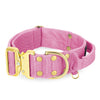Extreme Gold Buckle Candy Pink - Collier solide et sécurisé