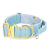 Extreme Gold Buckle Baby Blue - Collier solide et sécurisé