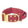 Extreme Gold Buckle Raspberry Red - Collier solide et sécurisé