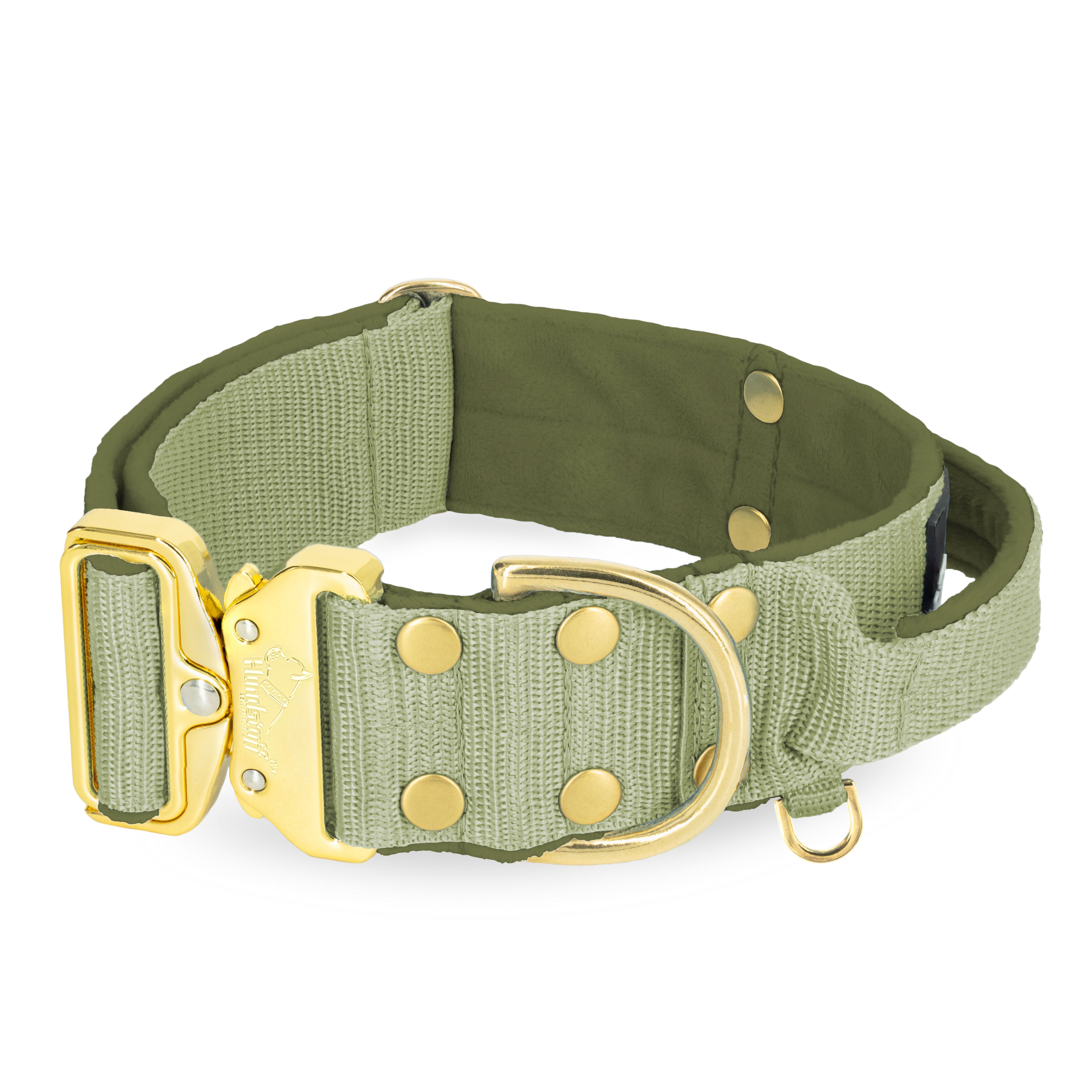 Extreme Gold Buckle Olive Green - Collier solide et sécurisé