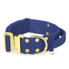 Extreme Gold Buckle Navy Blue - Collier solide et sécurisé