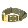 Extreme Gold Buckle Khaki - Collier solide et sécurisé