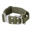 Extreme Silver Buckle Khaki - Collier solide et sécurisé