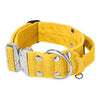 Extreme Silver Buckle Yellow - Collier solide et sécurisé