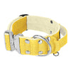 Extreme Silver Buckle Baby Yellow - Collier solide et sécurisé