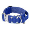 Extreme Silver Buckle Blue - Collier solide et sécurisé
