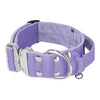 Extreme Silver Buckle Baby Purple - Collier solide et sécurisé