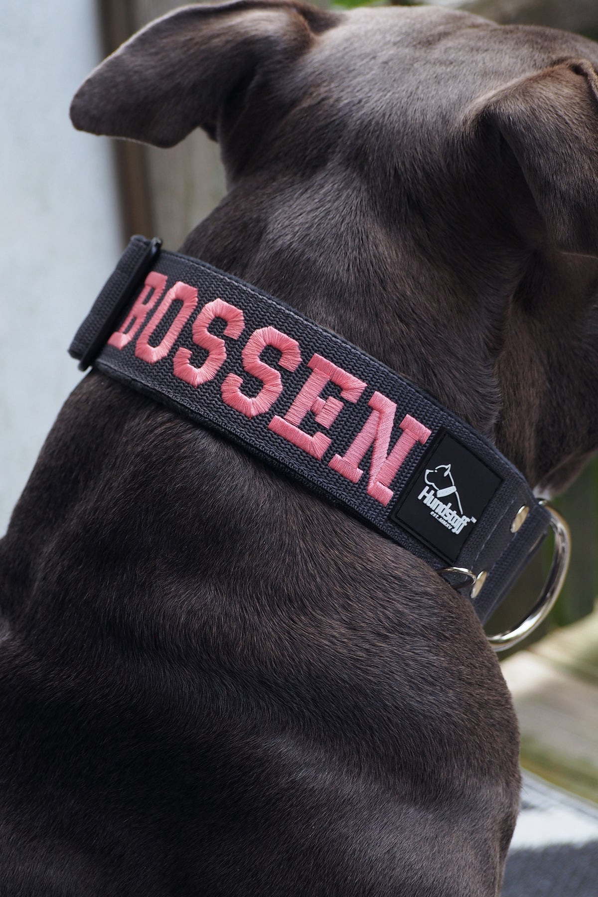 Boucle Extreme avec nom