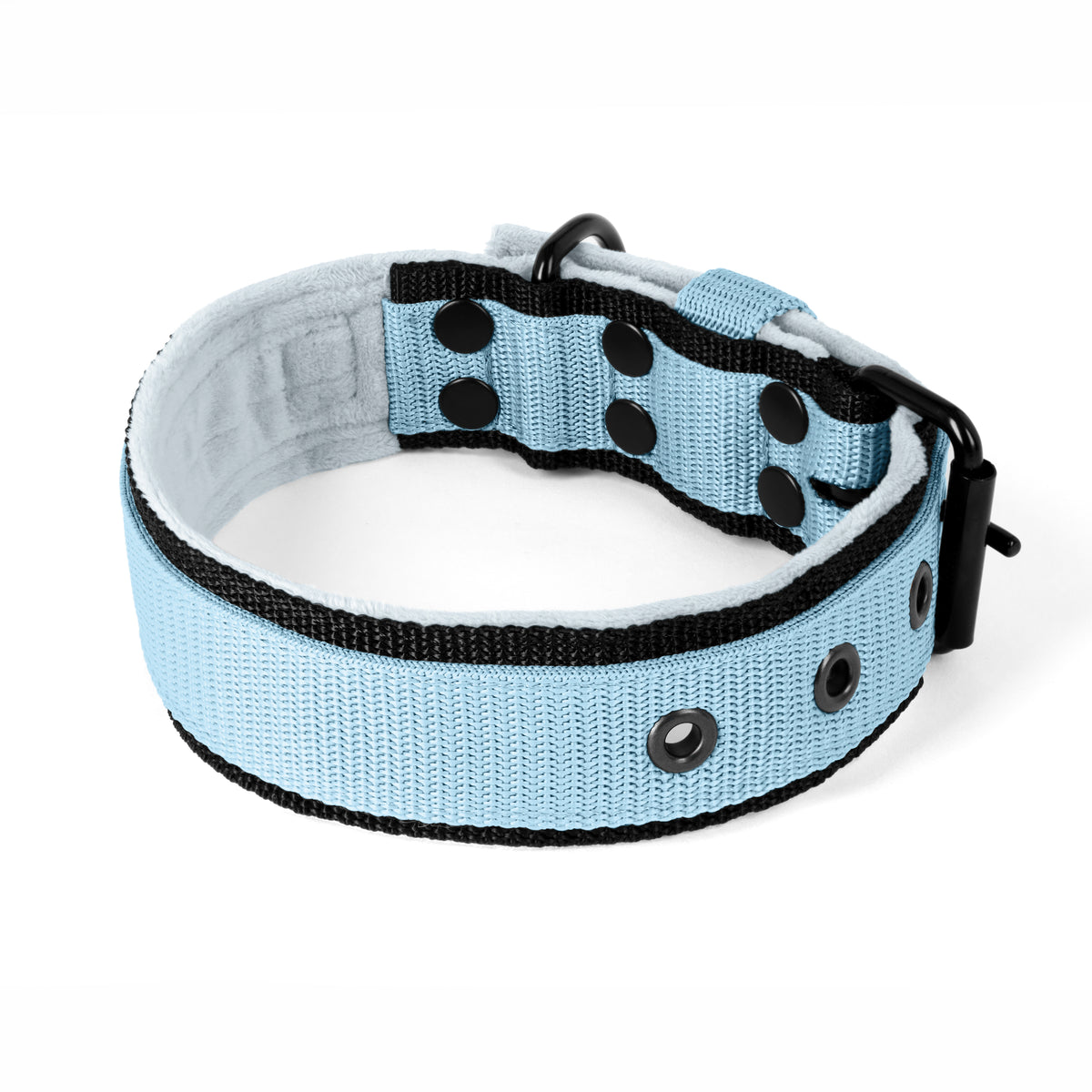 Active Black Edition Baby Blue