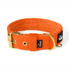 Active Gold Edition Orange