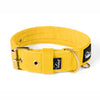 Active Gold Edition Yellow