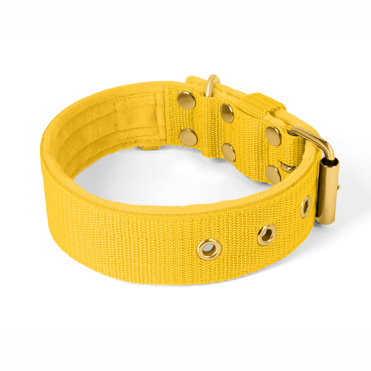 Active Gold Edition Yellow