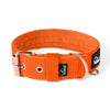 Active Rose Edition Orange