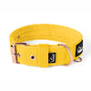 Active Rose Edition Yellow