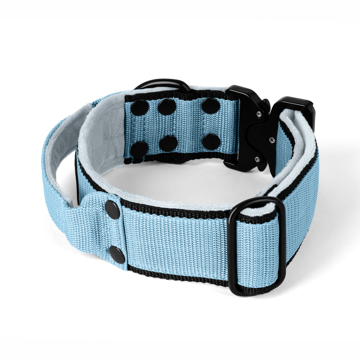 Extreme Buckle Black Edition Baby Blue