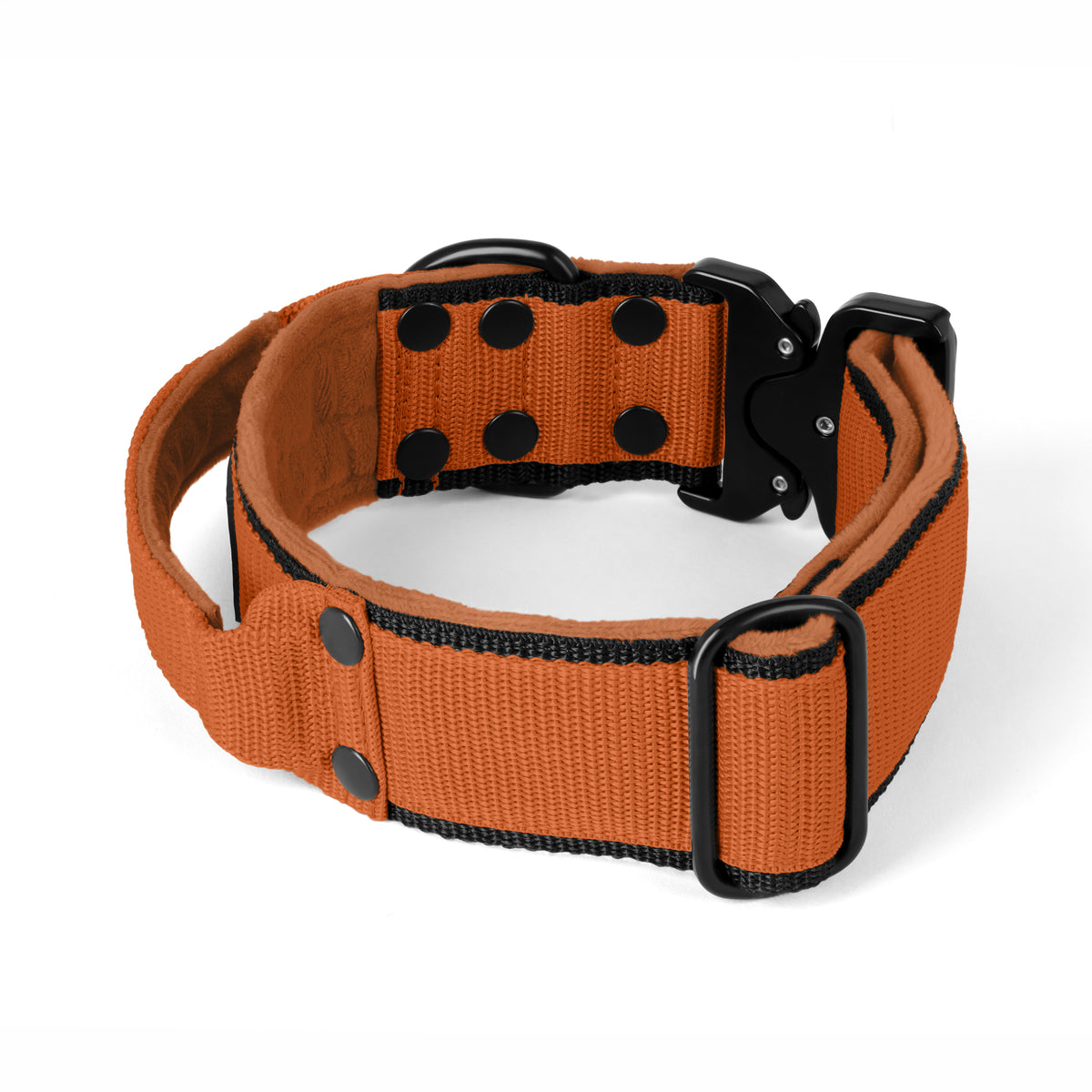 Extreme Buckle Black Edition Burned Orange