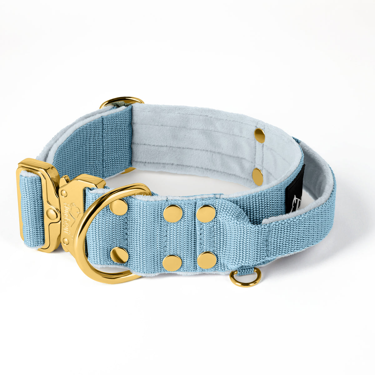 Extreme Buckle Gold Edition Baby Blue